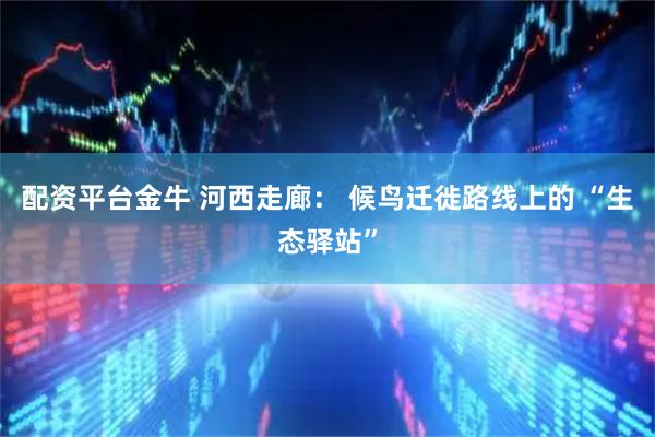 配资平台金牛 河西走廊： 候鸟迁徙路线上的 “生态驿站”