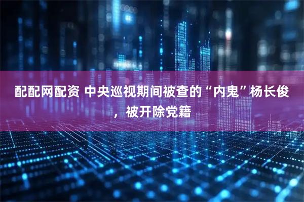 配配网配资 中央巡视期间被查的“内鬼”杨长俊，被开除党籍