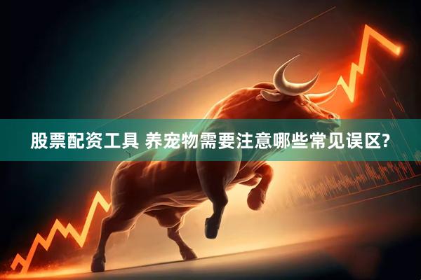 股票配资工具 养宠物需要注意哪些常见误区?