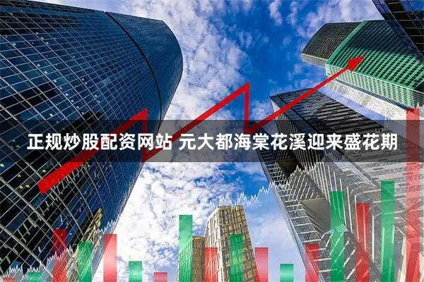 正规炒股配资网站 元大都海棠花溪迎来盛花期