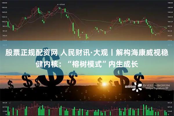 股票正规配资网 人民财讯·大观丨解构海康威视稳健内核：“榕树模式”内生成长